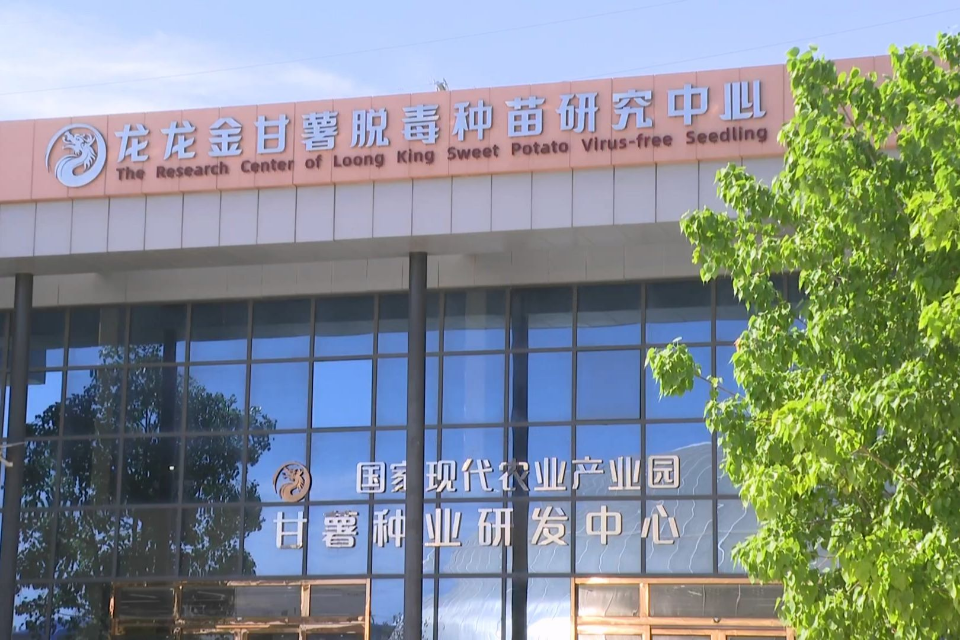 榜樣力量！陸豐植物龍種業(yè)研究中心：創(chuàng)新驅(qū)動(dòng)發(fā)展 助力種業(yè)振興